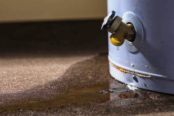 Best Water damage restoration near me  in Templeton, CA