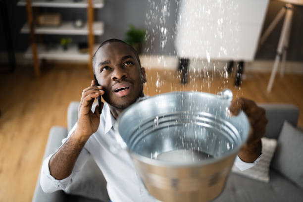 Best Professional water damage repair  in Templeton, CA