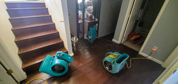 Best Local water damage restoration  in Templeton, CA