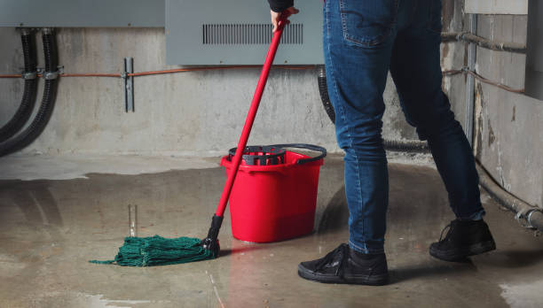 Best Carpet water damage restoration  in Templeton, CA