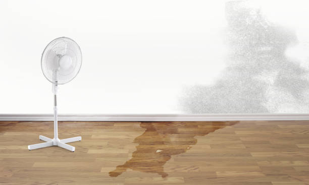  Templeton, CA Water damage restoration Pros