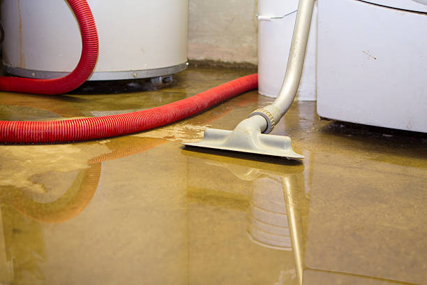 Best 24/7 water damage repair  in Templeton, CA
