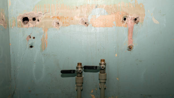 Best Flood restoration services  in Templeton, CA