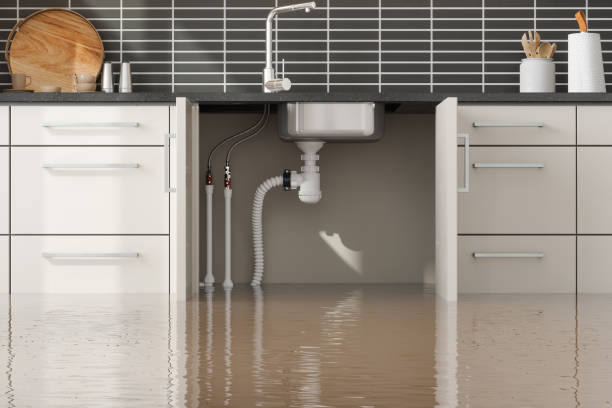 Best Flooded house restoration  in Templeton, CA