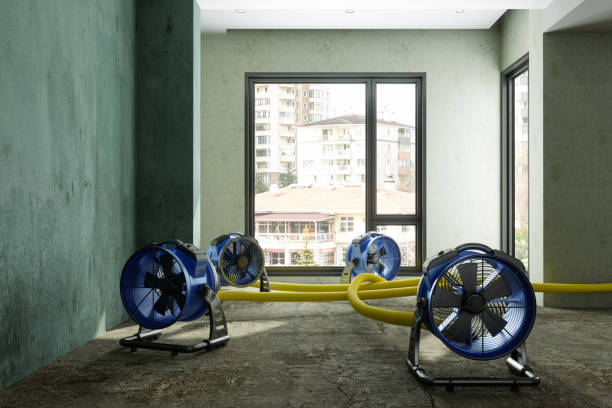 Best Residential water damage restoration  in Templeton, CA